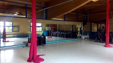 palestra7