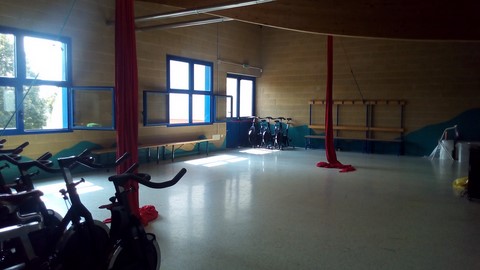 palestra8